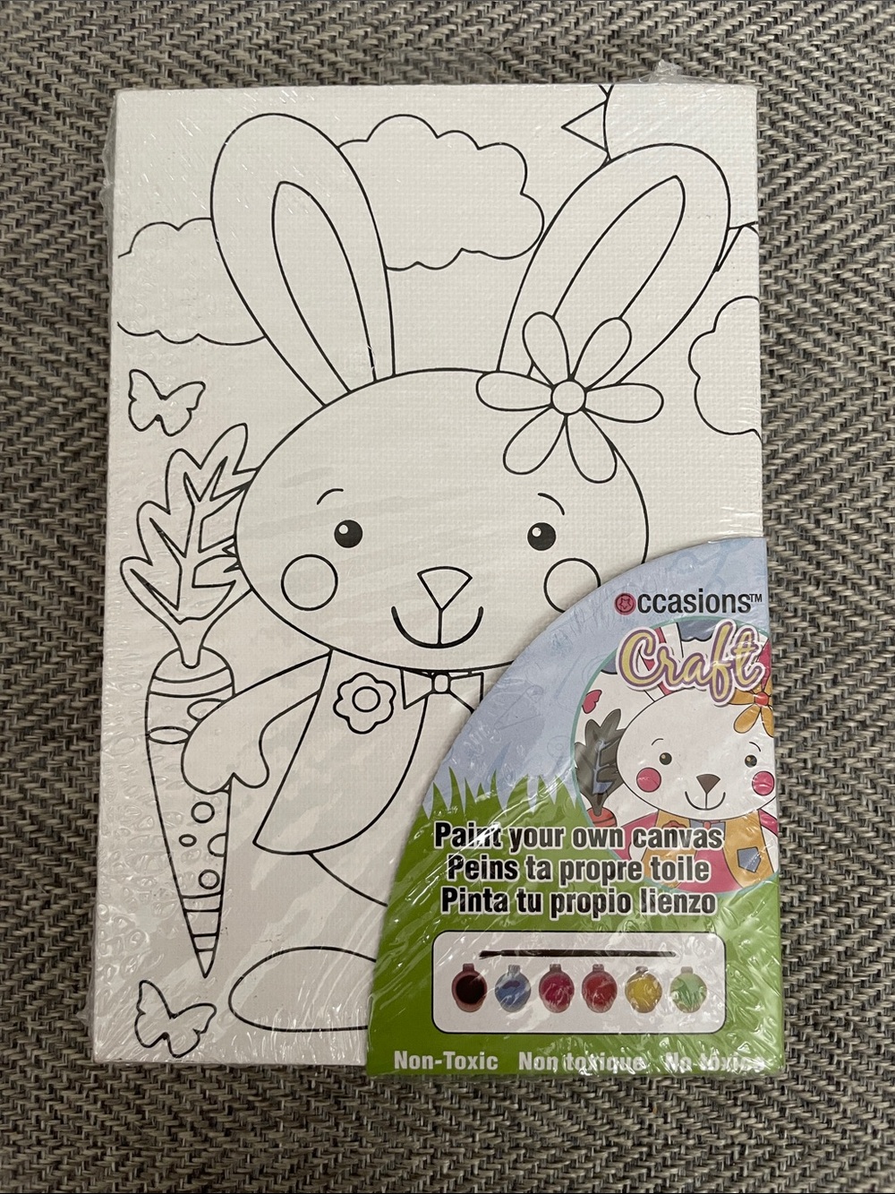 Occasion Paint-Your-Own Bunny Canvas Kit Art kit Easter